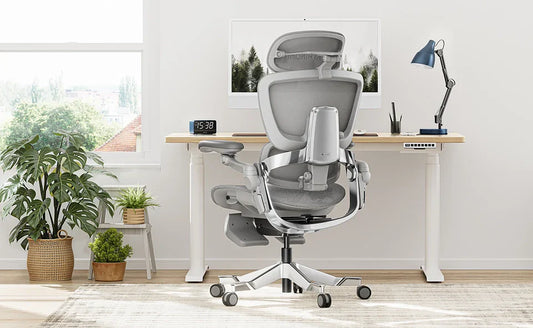 Ergonomic office chair vs a standard chair: what’s the difference?