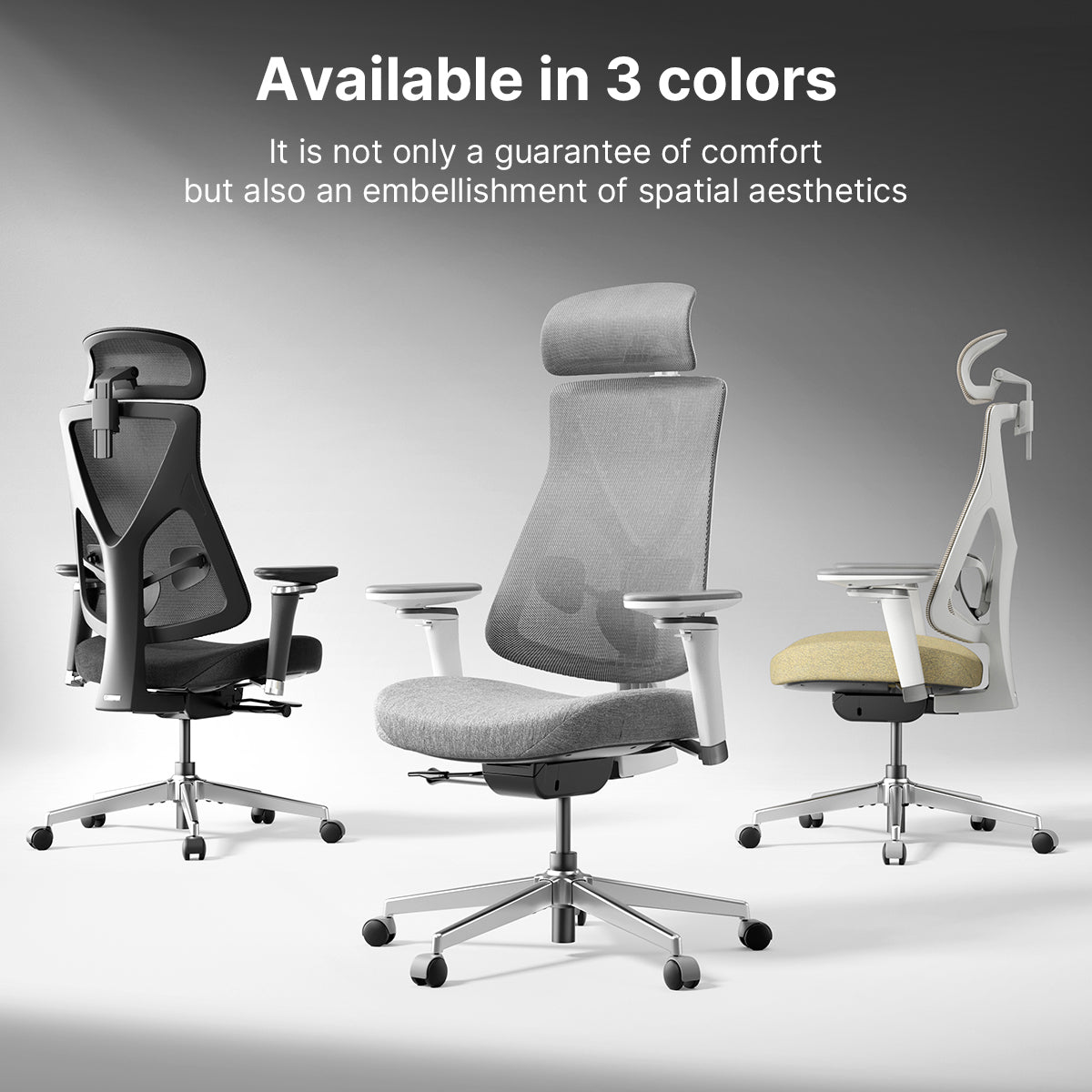 Hinomi D3 Ergonomic Office Chair