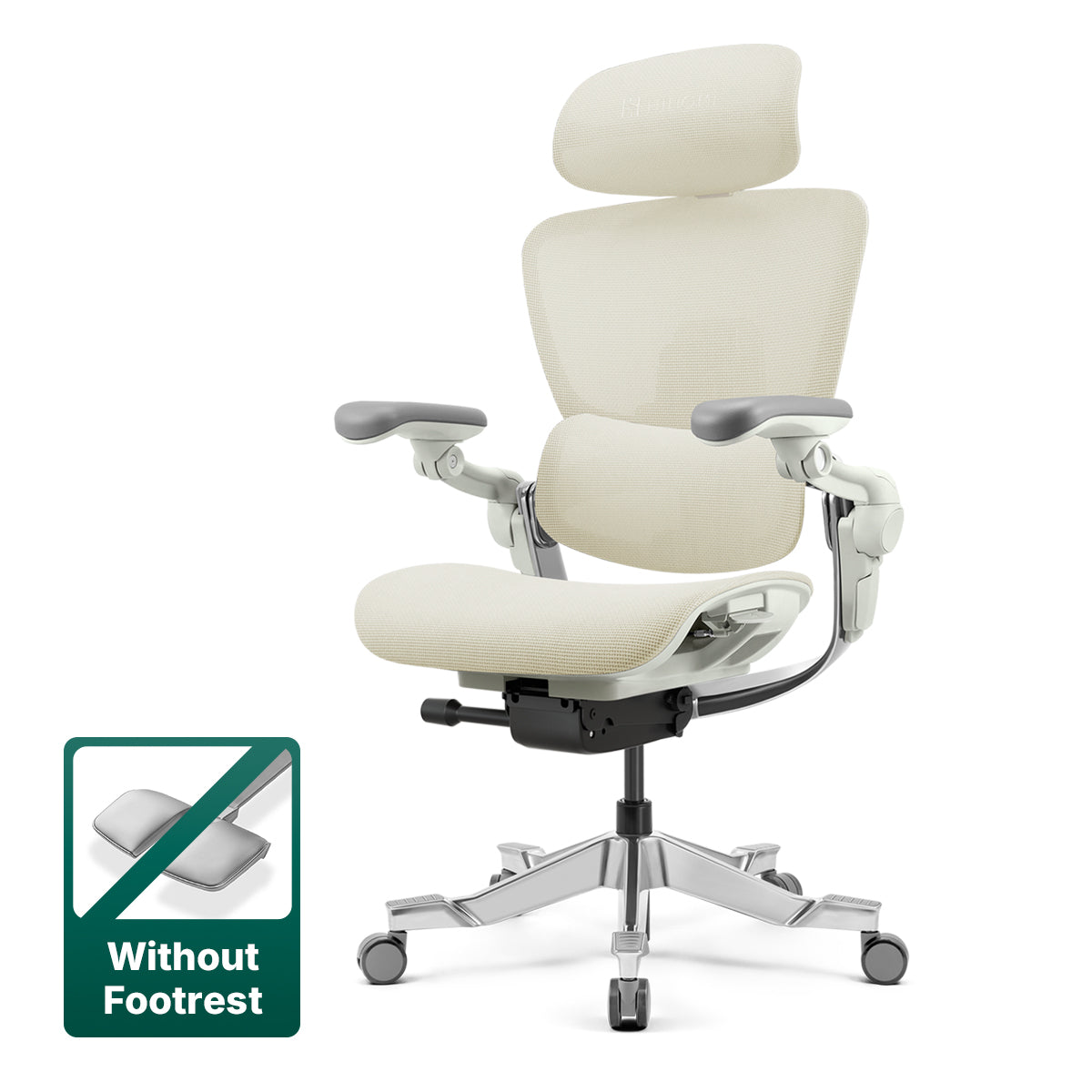 Hinomi H2 Pro Ergonomic Office Chair with Optional Footrest