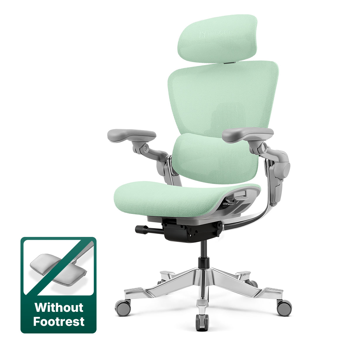 Hinomi H2 Pro Ergonomic Office Chair with Optional Footrest