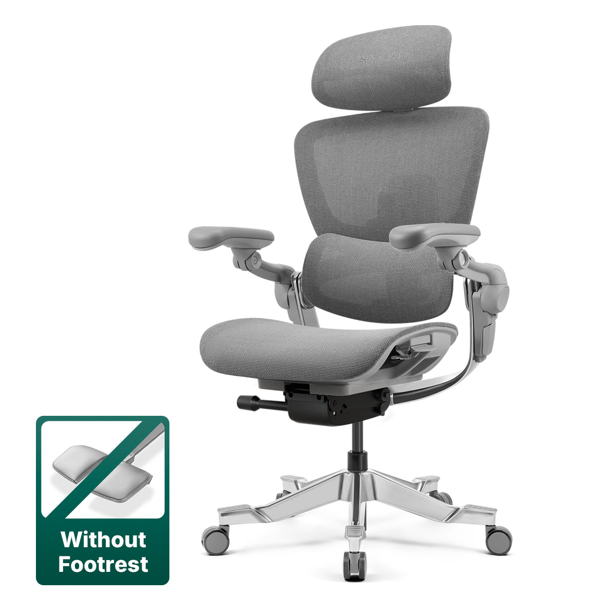 Hinomi H2 Pro Ergonomic Office Chair with Optional Footrest
