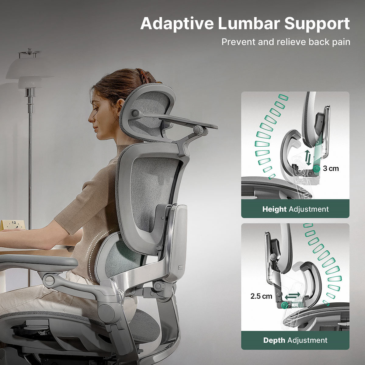 Hinomi H2 Pro Ergonomic Office Chair with Optional Footrest