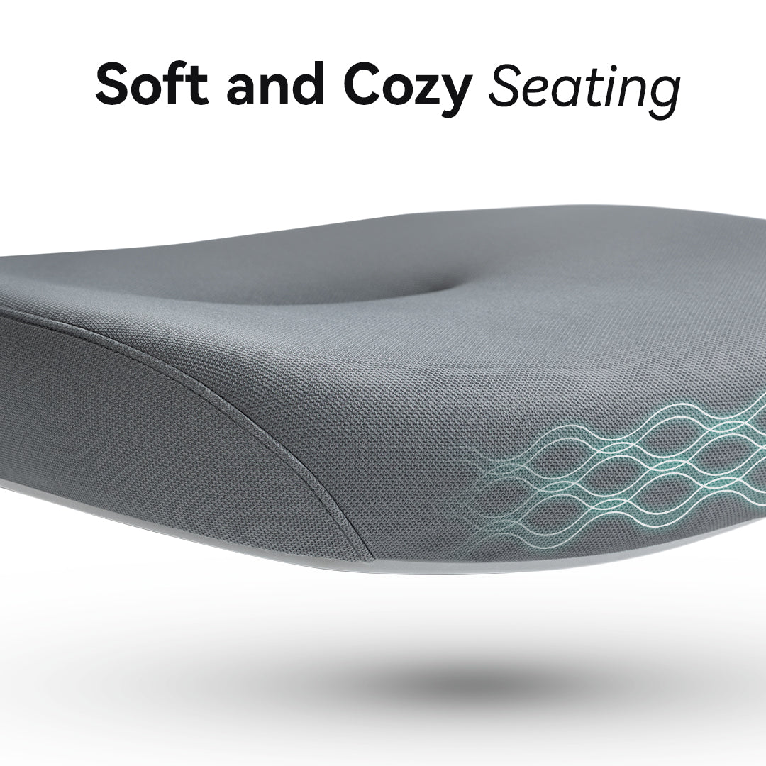 Hinomi Q1 Ergonomic Office Chair