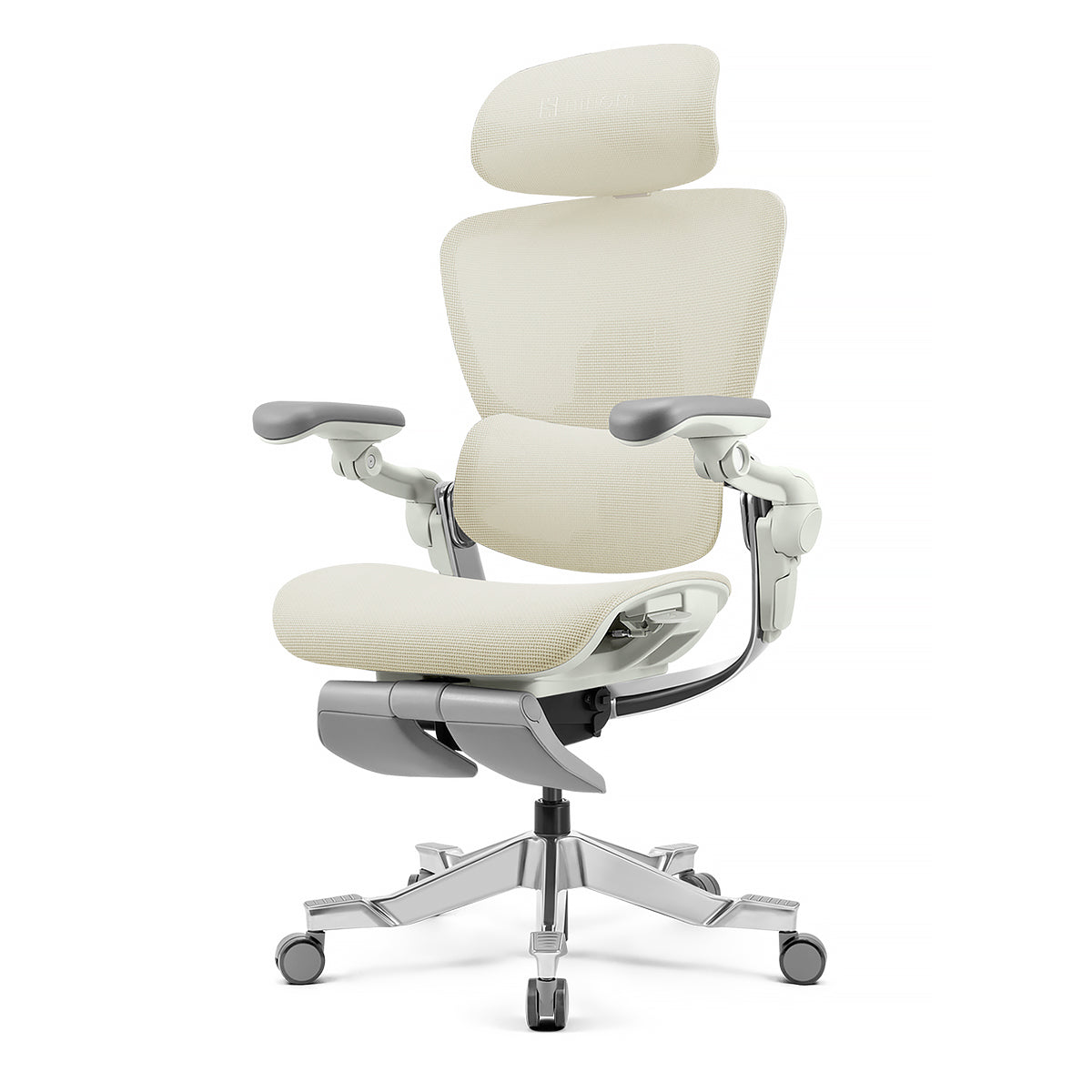 Hinomi H2 Pro Ergonomic Office Chair with Optional Footrest