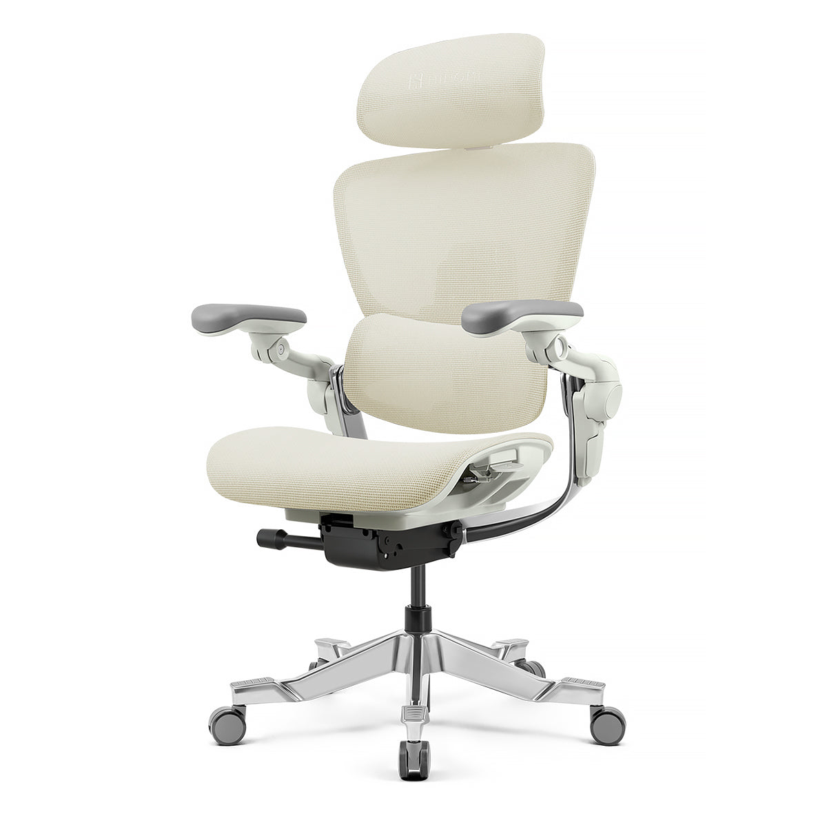 Hinomi H2 Pro Ergonomic Office Chair with Selectable Footrest