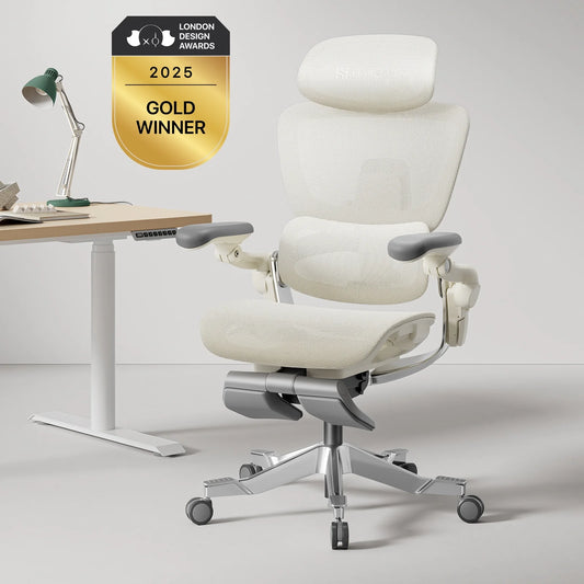 Hinomi H2 Pro Ergonomic Office Chair with Selectable Footrest