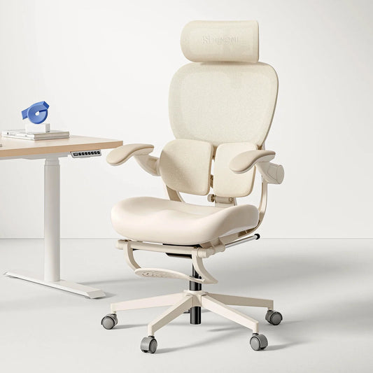Hinomi Q2 Ergonomic Office Chair with Free Footrest