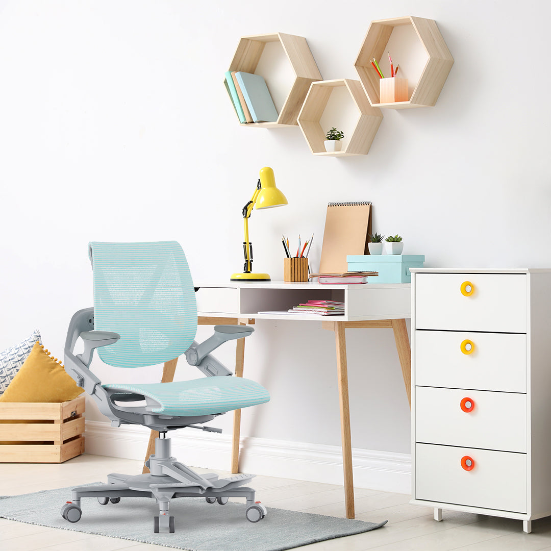 Hinomi Zee V2 Ergonomic Chair