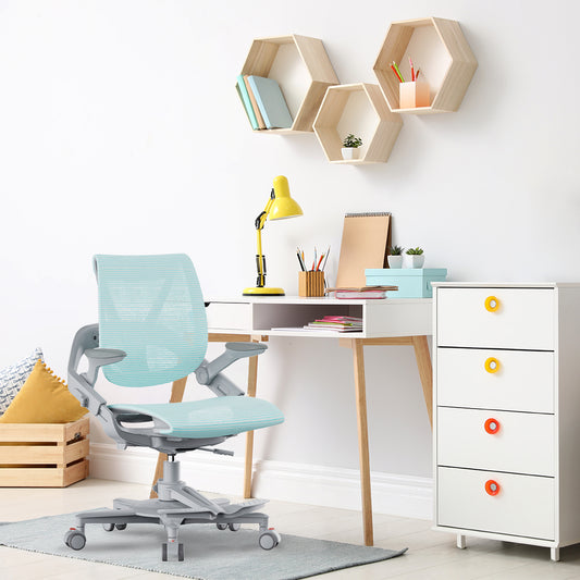 Hinomi Zee V2 Ergonomic Chair