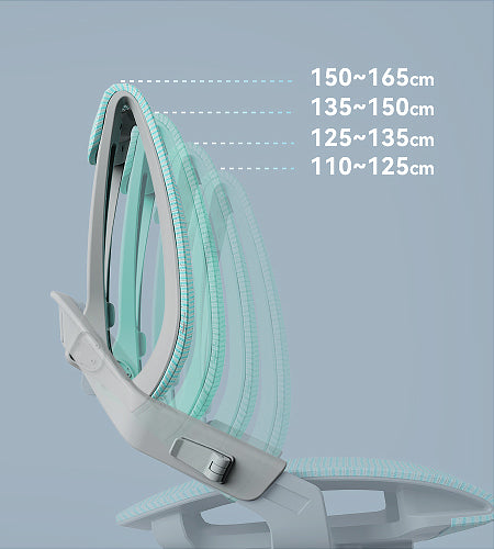 Hinomi Zee V2 Ergonomic Chair