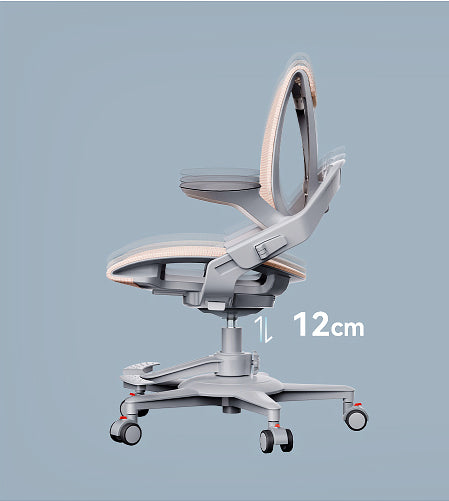 Hinomi Zee V2 Ergonomic Chair