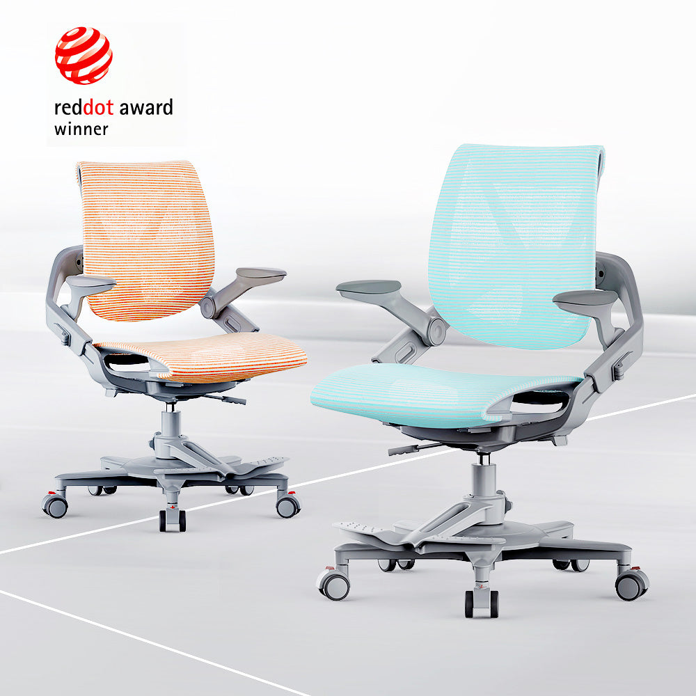 Hinomi Zee V2 Ergonomic Chair